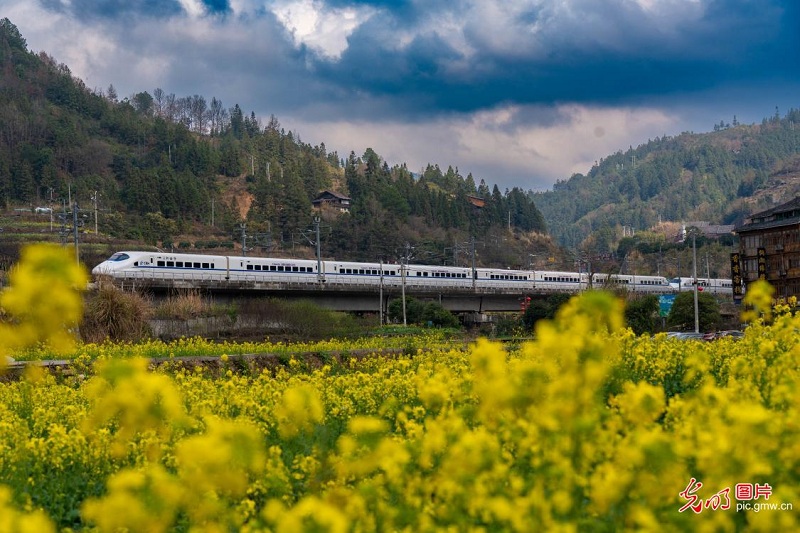 ����������г�